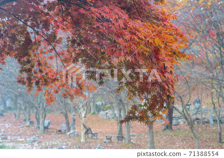 Kangchunsan, Sunchang-gun, Jeonbuk Kangchunsan, Sunchang-gun, Jeonbuk 71388554