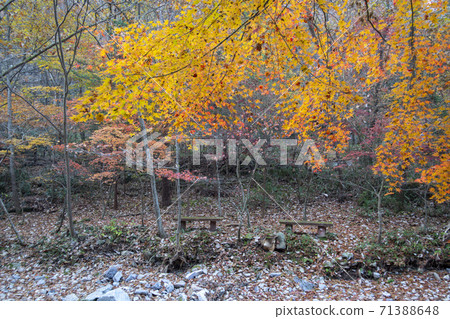 Kangchunsan, Sunchang-gun, Jeonbuk 71388648