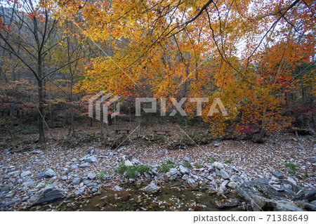 Kangchunsan, Sunchang-gun, Jeonbuk 71388649
