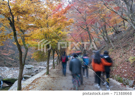Kangchunsan, Sunchang-gun, Jeonbuk 71388668