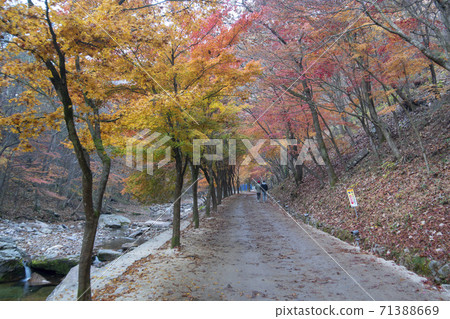 Kangchunsan, Sunchang-gun, Jeonbuk 71388669
