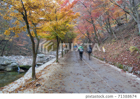 Kangchunsan, Sunchang-gun, Jeonbuk Kangchunsan, Sunchang-gun, Jeonbuk 71388674