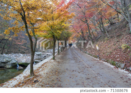 Kangchunsan, Sunchang-gun, Jeonbuk 71388676