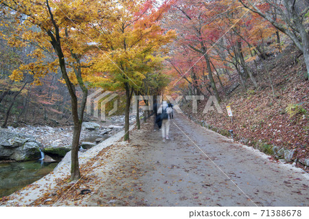 Kangchunsan, Sunchang-gun, Jeonbuk 71388678