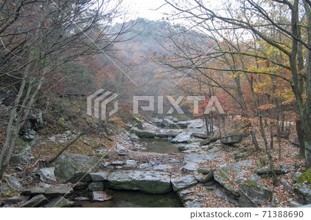 Kangchunsan，Sunchang-gun，Jeonbuk 71388690