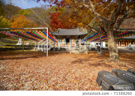 Kangchunsan, Sunchang-gun, Jeonbuk Kangchunsan, Sunchang-gun, Jeonbuk 71389260