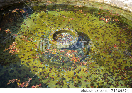 Kangchunsan，Sunchang-gun，Jeonbuk 71389274