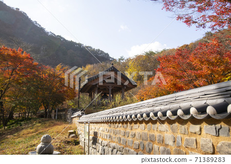 Kangchunsan, Sunchang-gun, Jeonbuk Kangchunsan, Sunchang-gun, Jeonbuk 71389283