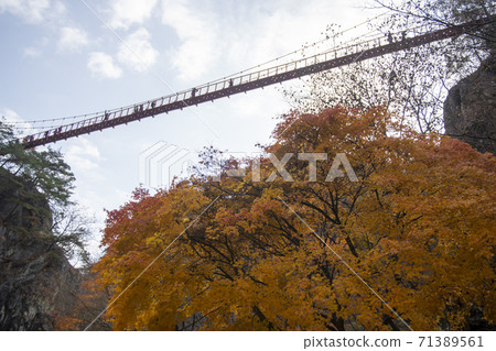 Kangchunsan, Sunchang-gun, Jeonbuk Kangchunsan, Sunchang-gun, Jeonbuk 71389561