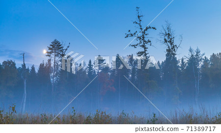 Night cold mystic scenery. Full moon over forest 71389717