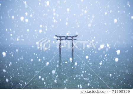 滋賀縣白rah神社/白rah神社Snowscape 滋賀縣白rah神社/白rah神社Snowscape 71390599