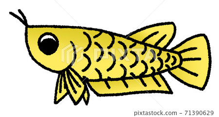 Arowana with eyes facing down (yellow) Arowana with eyes facing down (yellow) 71390629