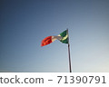 Italian flag 71390791