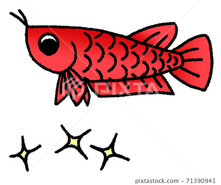 Arowana (red) looking down with anxiety about glitter Arowana (red) looking down with anxiety about glitter 71390941