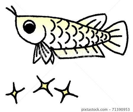 龍魚低頭擔心閃光（白色襯底上的黃色） 71390953