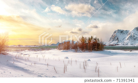 Winter scenery with frozen fjord on Vestvagoy island  71391341