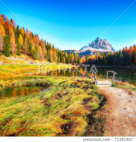 Stunning view of popular travel destination mountain lake Antorno in autumn 71391407