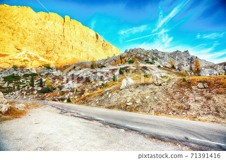 Autumn landscape with larches in Dolomite Alps and fantastic Falzarego pass at sunset Autumn landscape with larches in Dolomite Alps and fantastic Falzarego pass at sunset 71391416