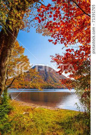 [群馬縣]秋色的榛名湖和富士榛名<上野山山> 71391705