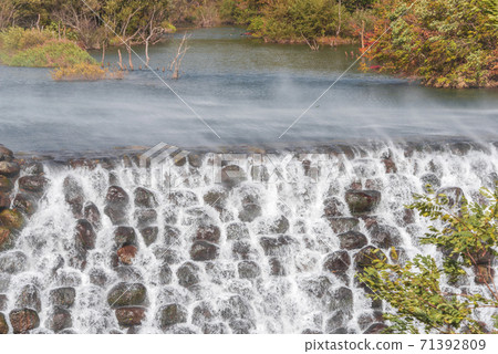 Autumn leaves of Yokokawa Valley Autumn leaves of Yokokawa Valley 71392809