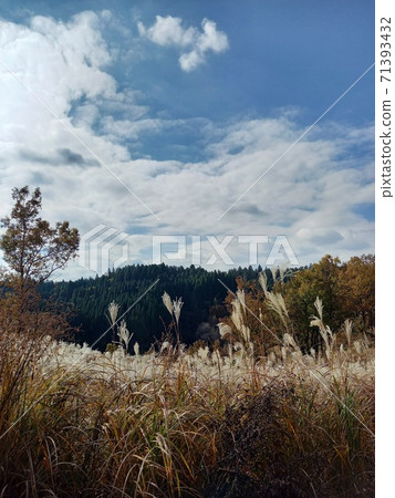 Scenery of Aso Manganji Temple 7 71393432