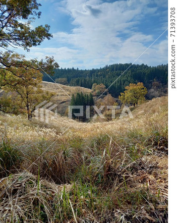 阿蘇萬國寺的風景17 71393708