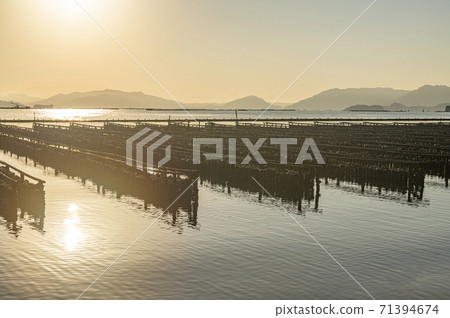 廣島縣瀨戶內海的牡蠣養殖場 71394674