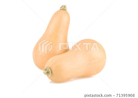 pumpkin butternut isolated on white background pumpkin butternut isolated on white background 71395908