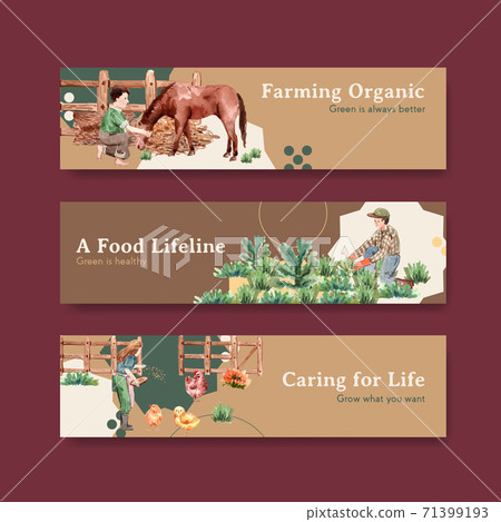 Banner template with farm organic concept design for advertise and marketing watercolor  vector illustration. 71399193