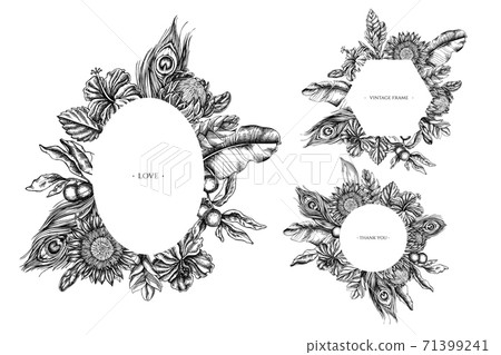 Floral frames with black and white banana palm leaves, hibiscus, solanum, bromeliad, peacock Floral frames with black and white banana palm leaves, hibiscus, solanum, bromeliad, peacock 71399241