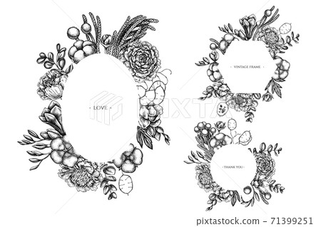 Floral frames with black and white ficus, eucalyptus, peony, cotton, freesia, brunia Floral frames with black and white ficus, eucalyptus, peony, cotton, freesia, brunia 71399251