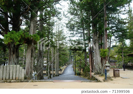 Japan Trip  71399506