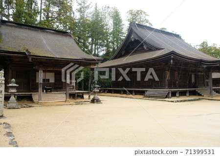 Japan Trip  71399531