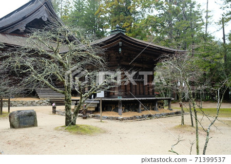 Japan Trip  71399537
