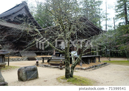 Japan Trip  71399541