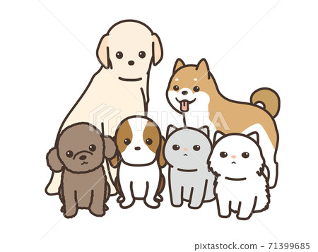 狗和貓的聚會 看著相機白色背景 插圖素材 圖庫