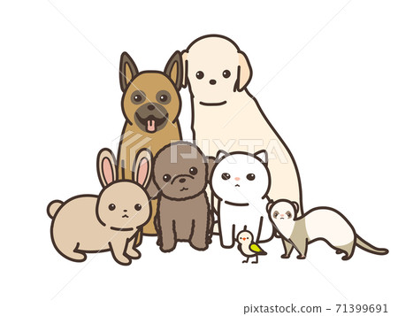Animal gathering, looking at the camera, white background 71399691