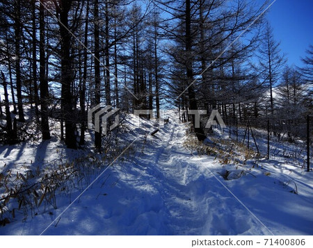 雪山路徑 雪山路徑 71400806