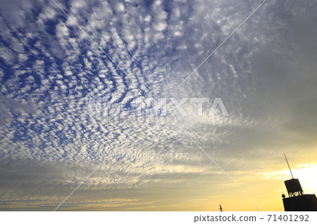Cirrocumulus in the evening Cirrocumulus in the evening 71401292