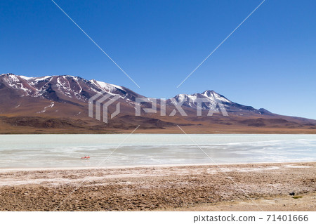 Laguna Hedionda view, Bolivia 71401666