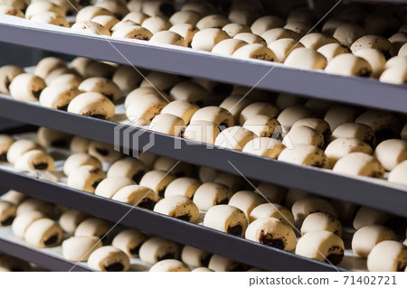 Pies on the shelves. Pies on the shelves. 71402721