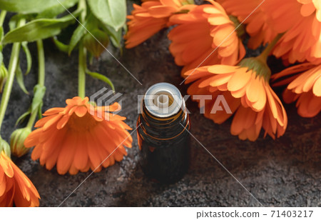 Essential oil bottle with fresh blooming calendula plant Essential oil bottle with fresh blooming calendula plant 71403217