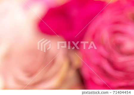 玫瑰花束的背景素材圖片(別針模糊) 玫瑰花束的背景素材圖片(別針模糊) 71404454