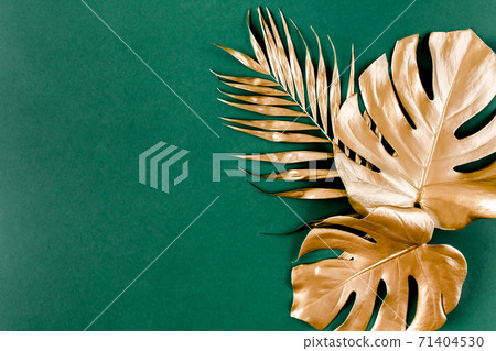 Gold tropical palm leaves Monstera on green background. Flat lay, top view minimal concept. Gold tropical palm leaves Monstera on green background. Flat lay, top view minimal concept. 71404530
