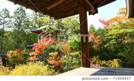 奈良縣圓世寺 71404857
