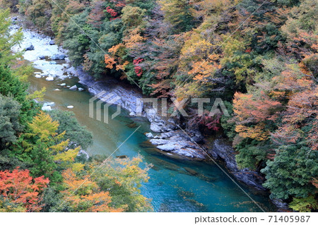 秋葉伊谷川奧谷秋穀(德島縣東伊谷) 秋葉伊谷川奧谷秋穀(德島縣東伊谷) 71405987