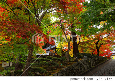 滋賀縣東近江市本源寺和秋葉的景色（2020）四季，四個季節，秋天[11月] 71407136