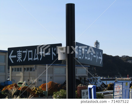 東西方海濱長廊信息委員會 71407522