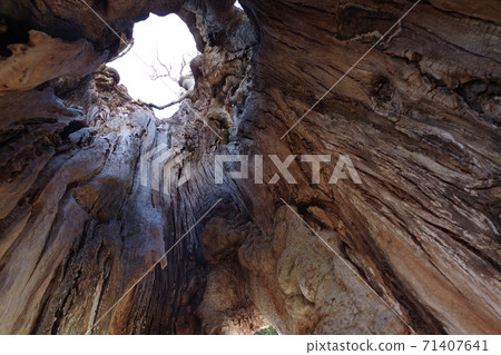 高木墮落5 71407641