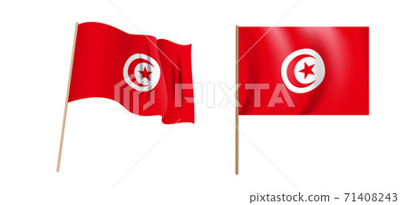 colorful naturalistic Tunisian Republic waving flag. Vector Illustration 71408243